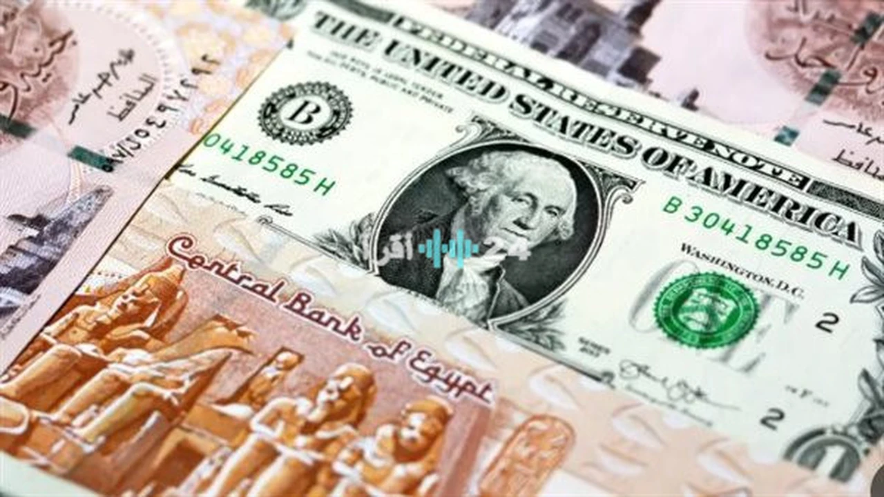 استقرار سعر الدولار مقابل الجنيه المصري في ظل ترقب تحركات السوق المحلية